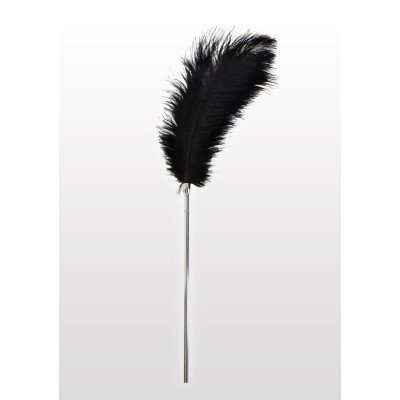 Feather Tickler