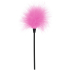 Sexy Feather Tickler