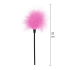 Sexy Feather Tickler