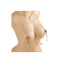 NIPPLE CLAMPS MOD. 1