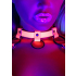 Open Cup Bra Harness