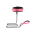 Taboom Glow In the Dark Collar and Chain Leash