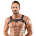 Men\'s Chest Harness black