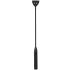Electro Shock Riding Crop