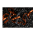 VIBRATORY EGG G5 RECHARGEABLE BLACK EDITION