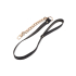 Statement Collar and leash
