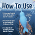 Unihorn of the Sea-The Narwhal