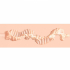 Raw - Pure Stretch - TPE Large Masturbator - 355g - Flesh