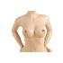 NIPPLE CLAMPS MOD. 17