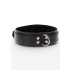 Heavy D-Ring Collar