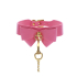 Collar and Leash