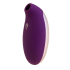 S Pleasures Premium Sweet Tornado Purple / Gold