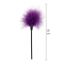 Sexy Feather Tickler