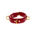 D-Ring Collar Deluxe
