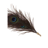 Peacock Tickler