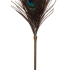 Peacock Tickler