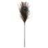 Peacock Tickler