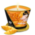 Shunga massage candle Mango