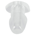 ANOS Butt Plug w Tunnel Transp