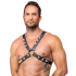 Leather Chest Harness