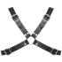 Leather Chest Harness