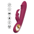 Taygeta Pleasure Rabbit