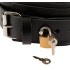 Leather Collar & Leash