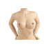 NIPPLE CLAMPS MOD. 10