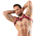 Men\'s Chest Harness red S-XL