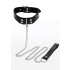 Elegant Collar and Chain Leash