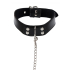 Elegant Collar and Chain Leash