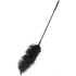 Double Feather Tickler
