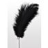 Feather Tickler