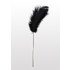 Feather Tickler