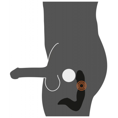 Masażer prostaty ze stymulacją krocza 16cm