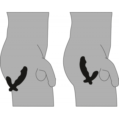 Stymulator prostaty w kształcie Penisa 15cm